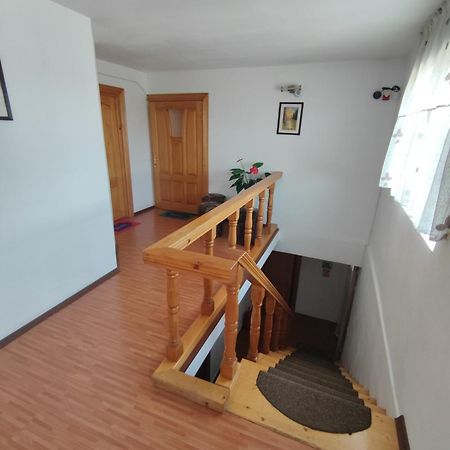 Camere De Inchiriat Edelweiss Dumbrava Roşie エクステリア 写真