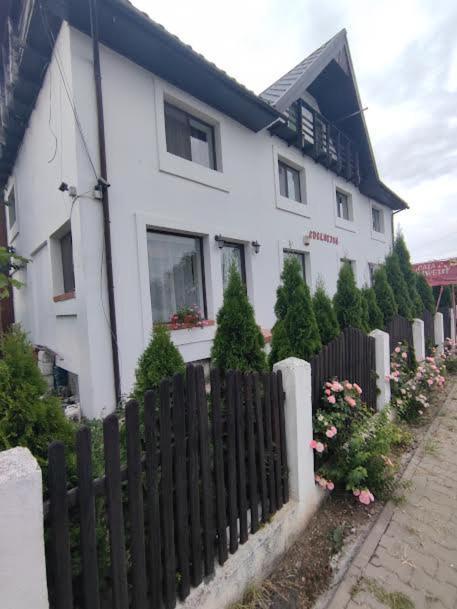 Camere De Inchiriat Edelweiss Dumbrava Roşie エクステリア 写真